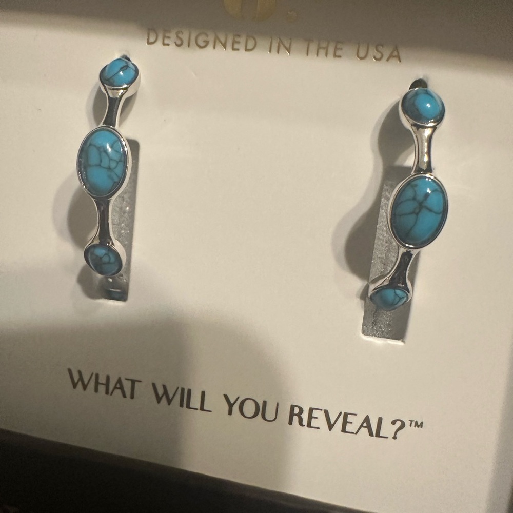 Bomb party outlaw
Turquoise Silver Linear Earrings - Picture 2 of 4
